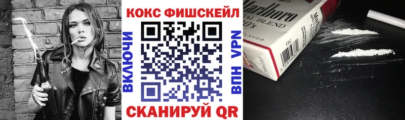 цена   Демидов  Cocaine VHQ 