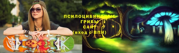 прущие крисы Богданович