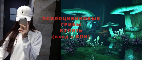 прущие крисы Богданович