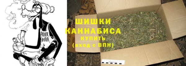 PSILOCYBIN Балабаново
