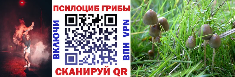 Галлюциногенные грибы мухоморы  купить наркотик  Демидов 